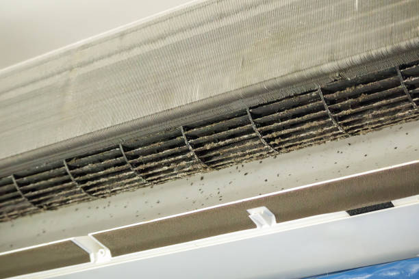 Best Air Duct Sanitizing Services  in USA